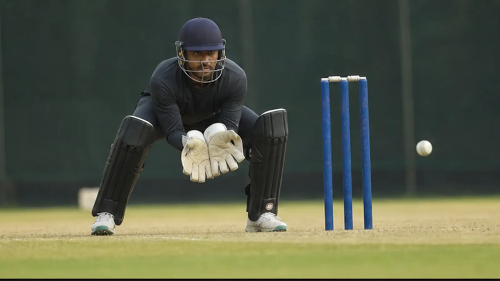 Fantasy Cricket Guide India — Timing and updates