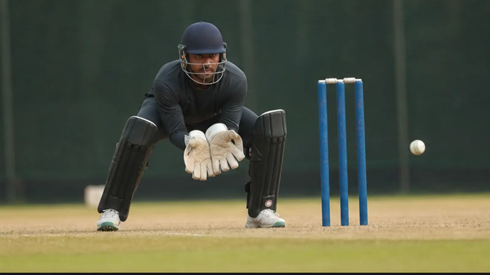 Cricket Pitch Report Guide — Timing and updates